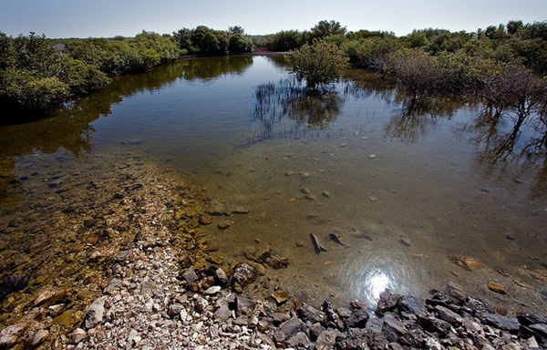 محميات الذخيرة الطبيعية