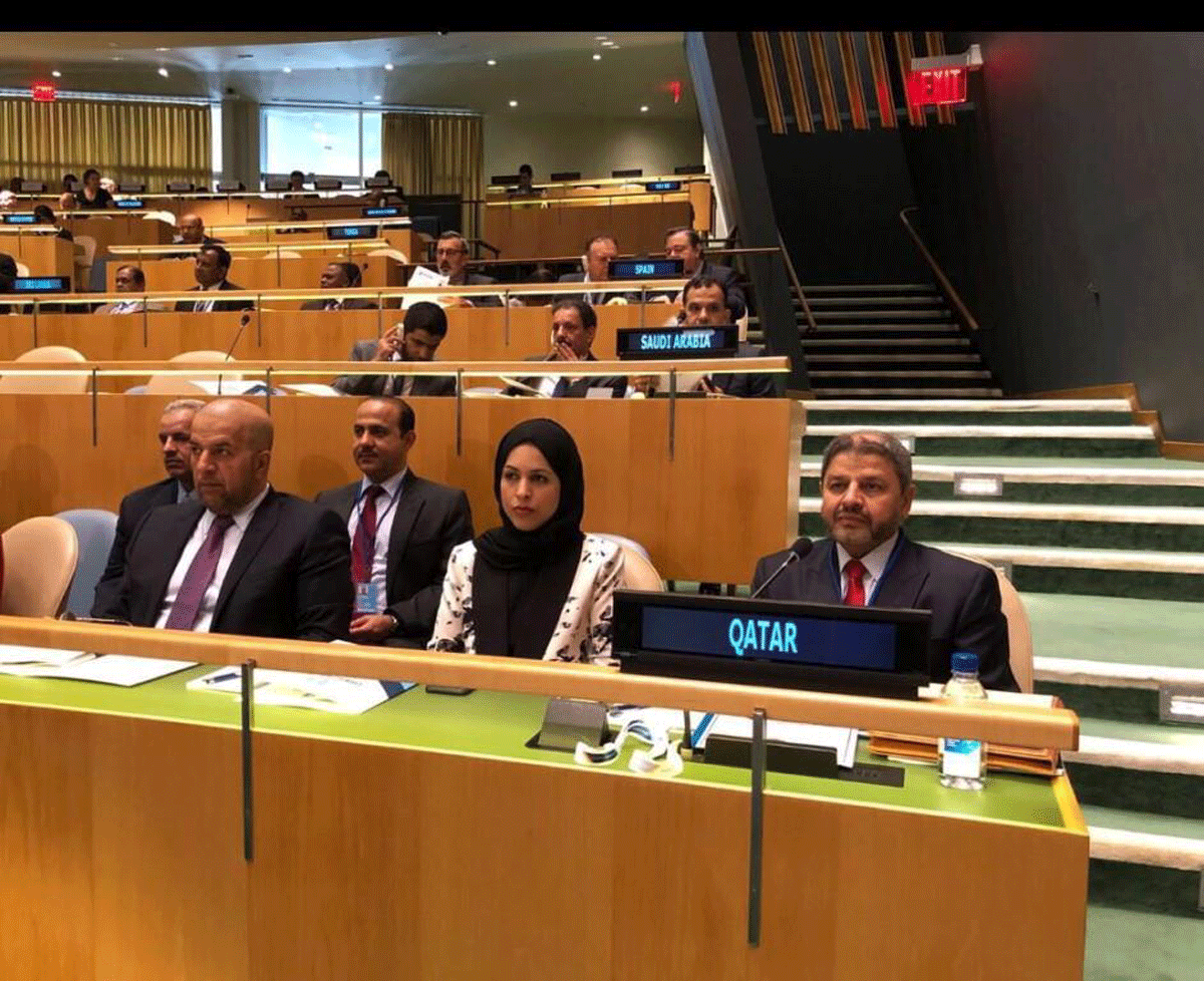 Qatar Partakes in the High-level Conference of Hea